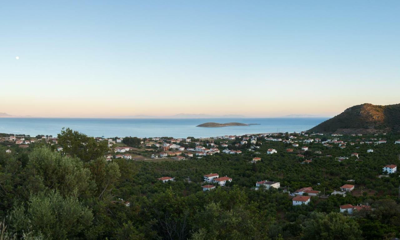 Karia Hotel Palamutbuekue Buitenkant foto